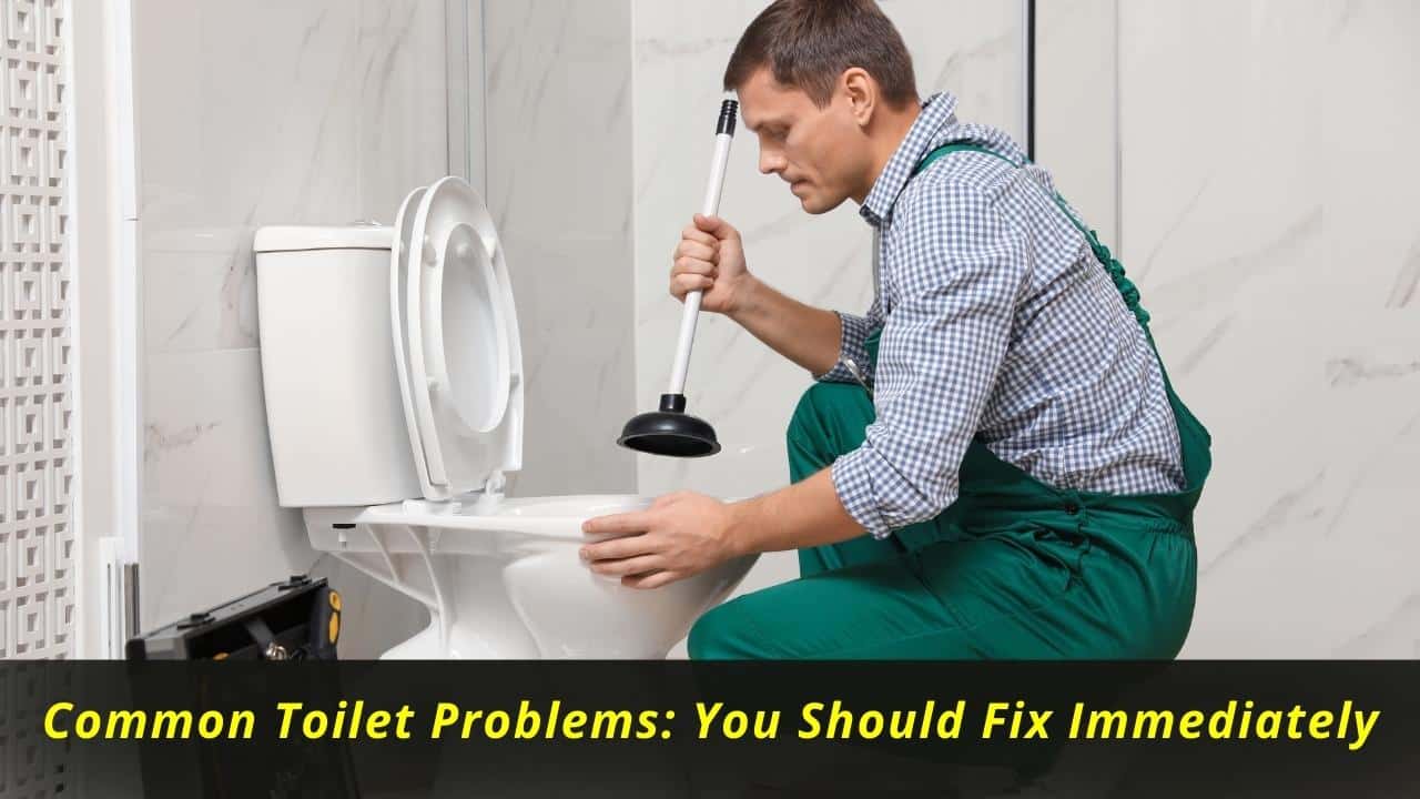 Common Toilet Problems: You Should Fix Immediately - Blogs