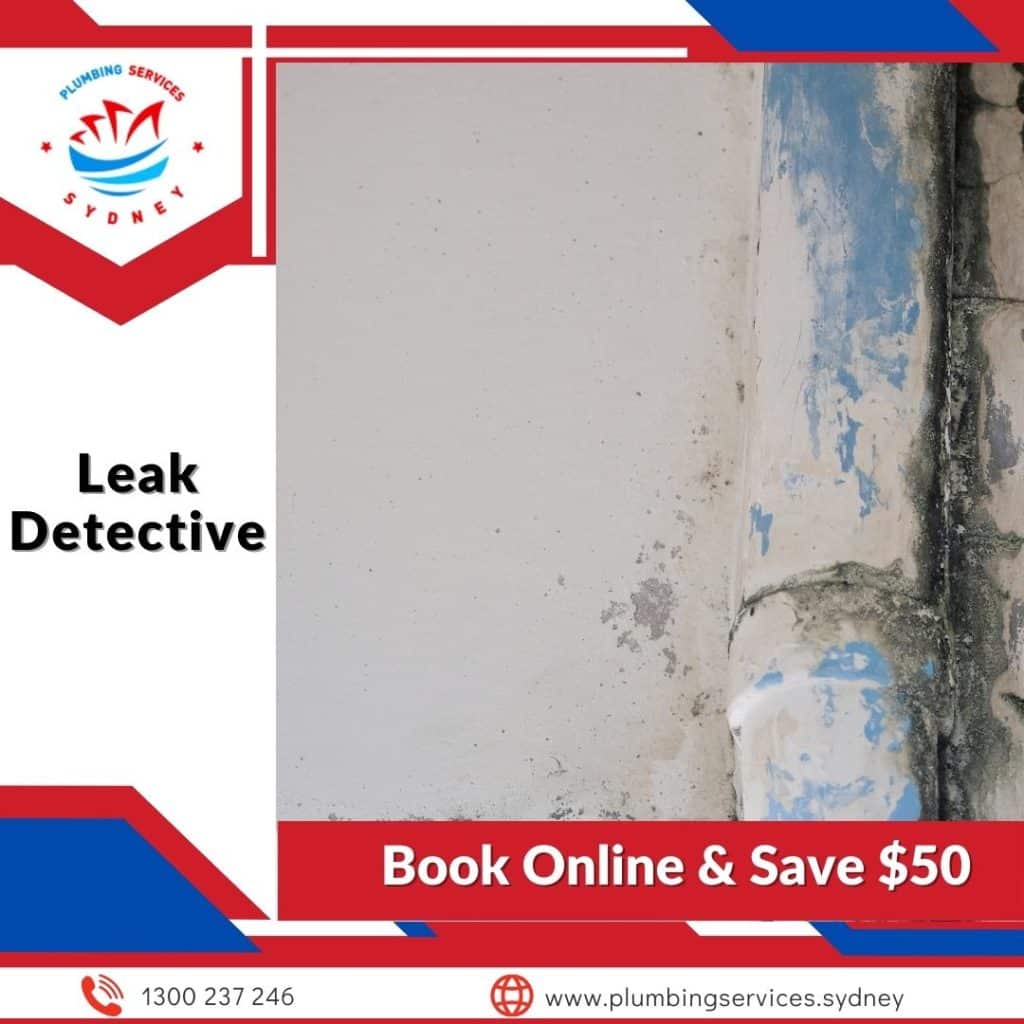Image presents leak detection - Leak Detective