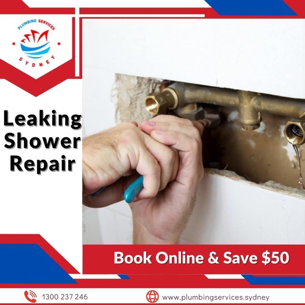 Image presents shower repairs Leaking Shower Repair