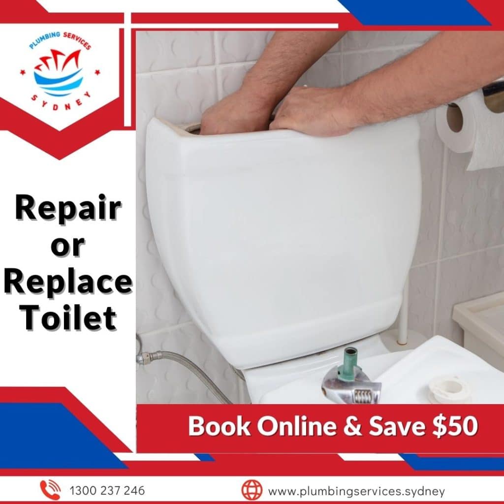 Image presents toilet repairs and Repair or Replace Toilet