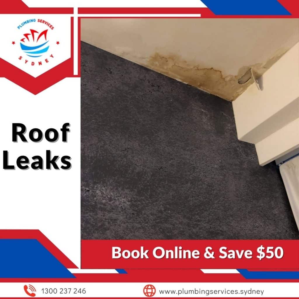 Image presents roof leak repair and roof leaks