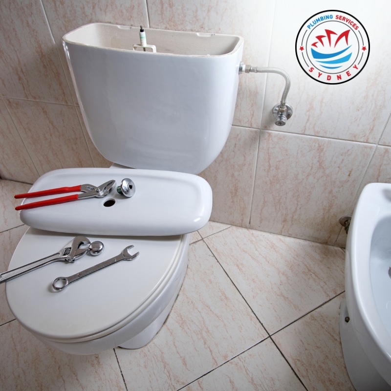 Image presents why choose our toilet repair experts
