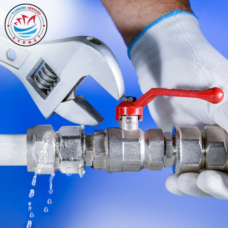 Image presents your top emergency plumbing services in sydney